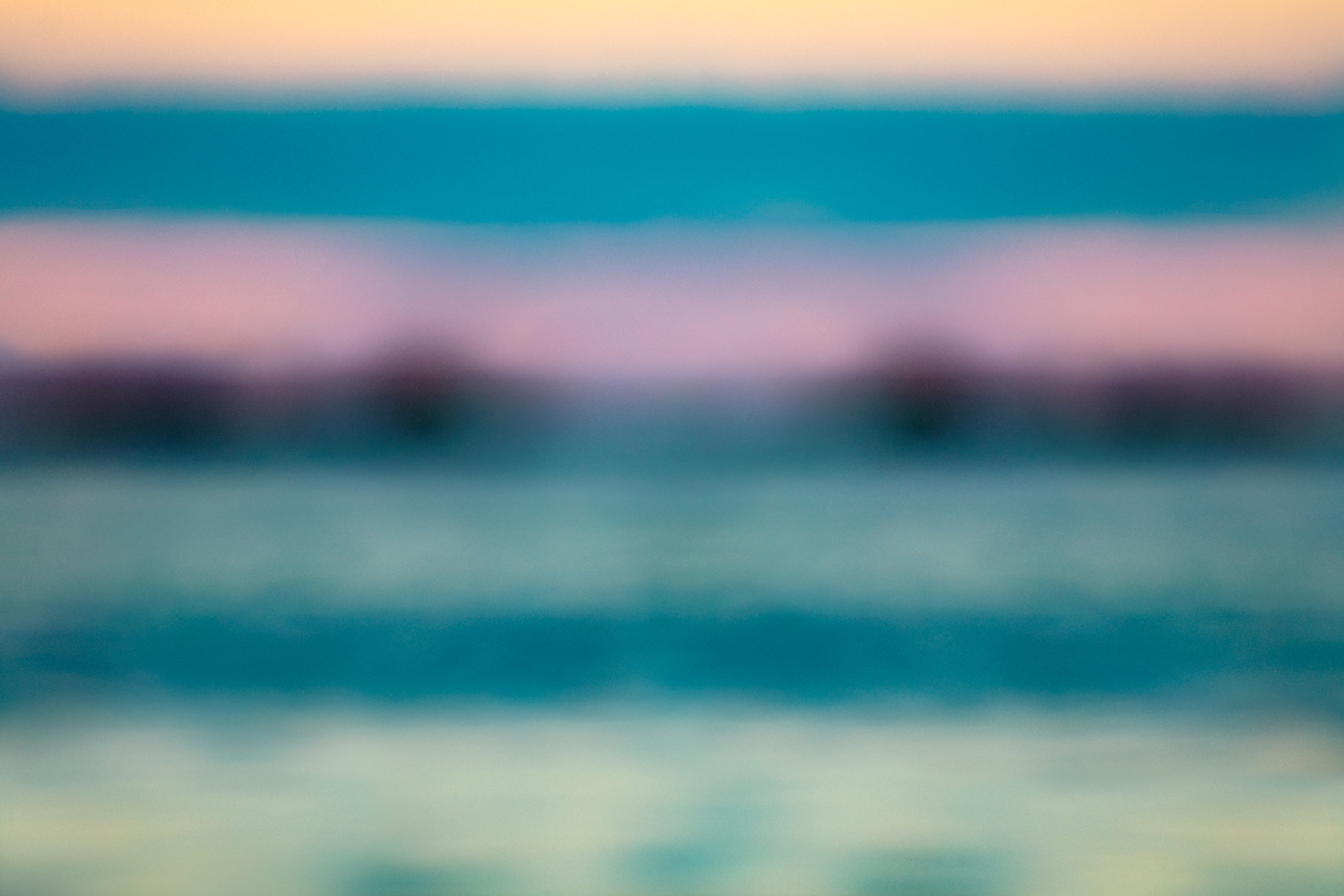 SeaBirds on the Southern Horizons